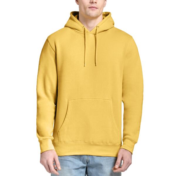 Unisex Premium Pullover Hooded Sweatshirt Thumbnail